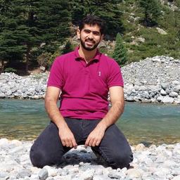 Waleed J. - Software Engineer - Frontend, Web and UI/UX Platforms