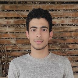 Waleed S. - Junior Software Engineer - AI, Machine Learning and Deep Learning Platforms