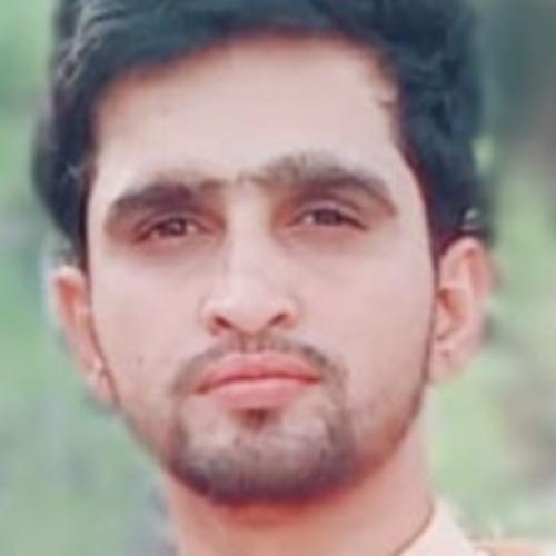 Waqar H. || item.role}