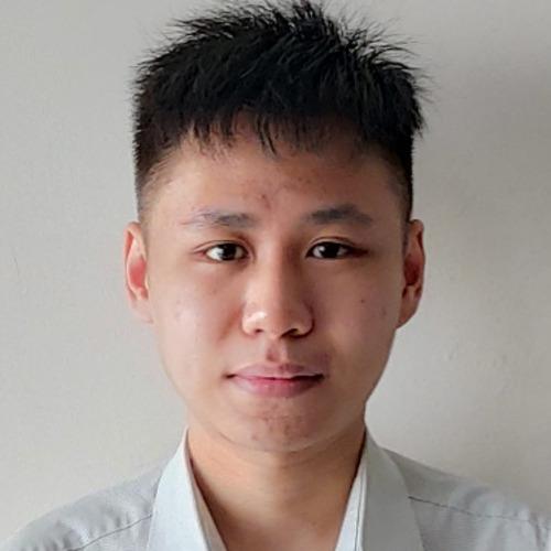 Wui Yang T., developer