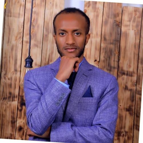 Profile of Yeabsira A., Full Stack Developer at Softaims