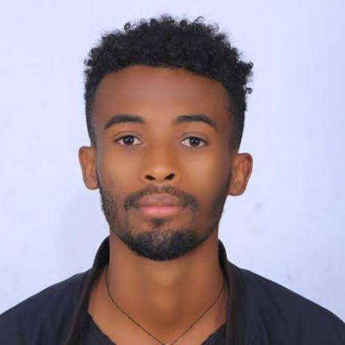 Profile of Yidnekachew T., Fullstack Engineer at Softaims