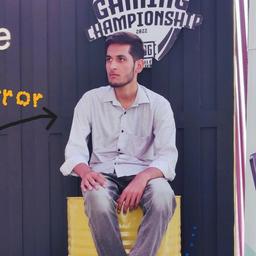 Zahid M. - Software Engineer - Web, Backend and General Development