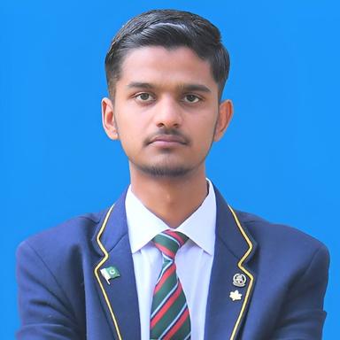 Zain R. - Software Engineer - Backend, Web and Full-Stack Development