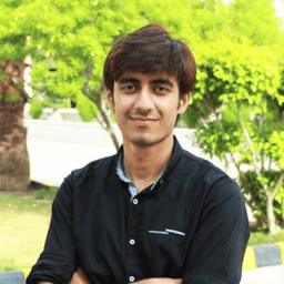 Zeeaan A. - Lead Software Engineer - Cloud, Web and AI Platforms