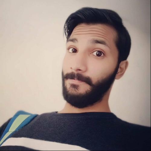 Zeeshan T. || item.role}