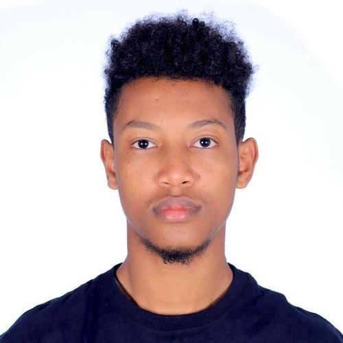 Profile of Zelalem Y., Full Stack Developer at Softaims