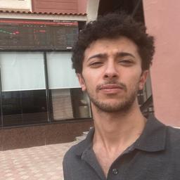 Ziad A. - Software Engineer - AI, Python and Fullstack