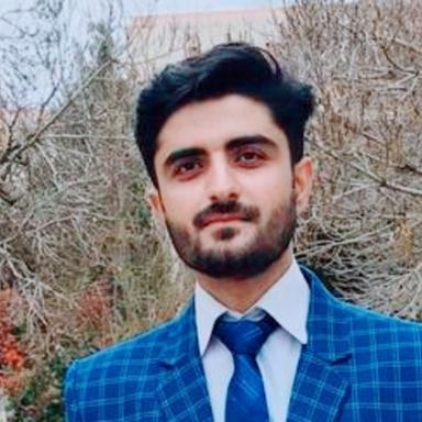 Zohaib D. - Senior Software Engineer - AI, Cloud and Machine Learning Platforms