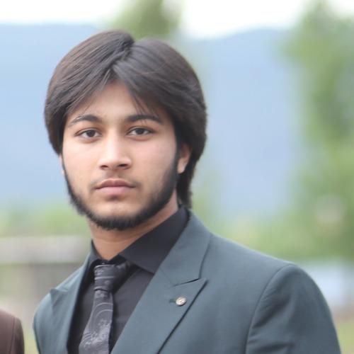 Zohaib H. || item.role}