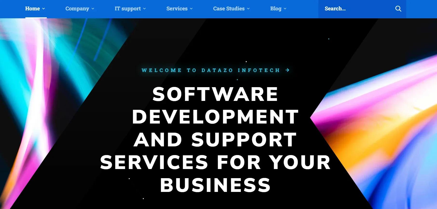datazoinfotech.webp