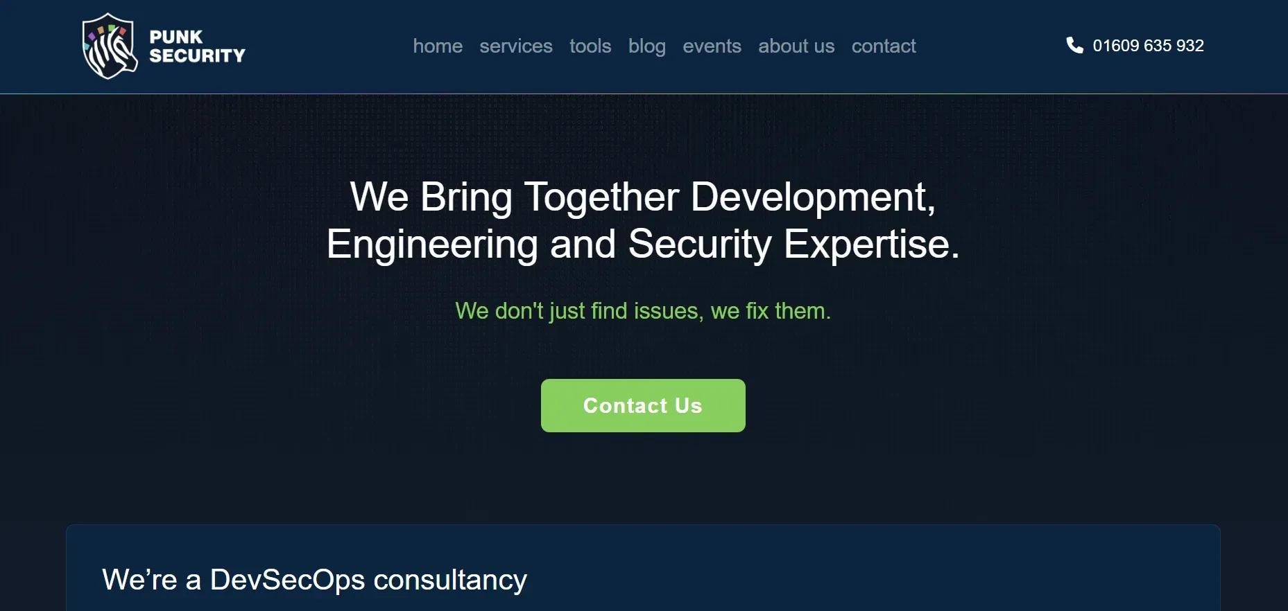 punk security.webp