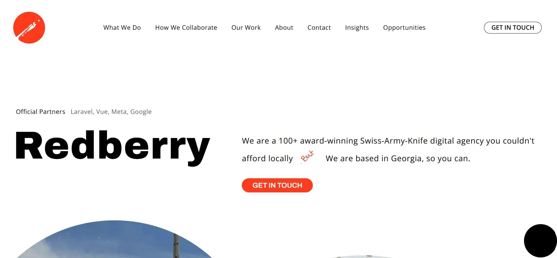 redberry.webp