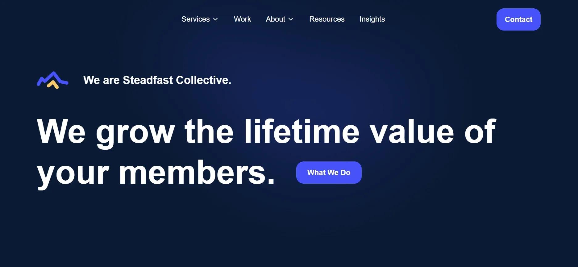 steadfastcollectve.webp