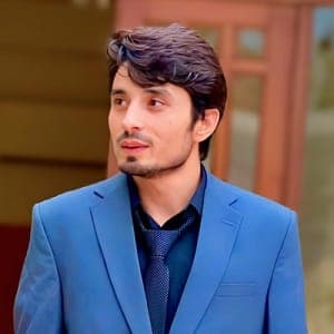 Abdul Q. | Data Scientist at Softaims Profile of Abdul Q., Data Scientist at Softaims