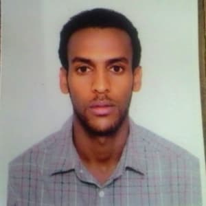 Eyob D. | Data Analyst at Softaims Profile of Eyob D., Data Analyst at Softaims