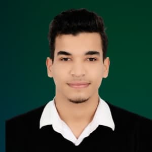 Jawher B. | Game Developer at Softaims Profile of Jawher B., Game Developer at Softaims