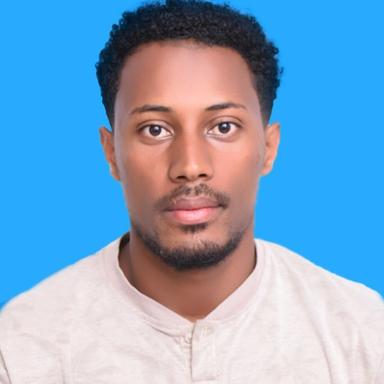 Aklilu S. at Softaims Aklilu S. - Software Engineer - Full-Stack, Cloud and Mobile Platforms