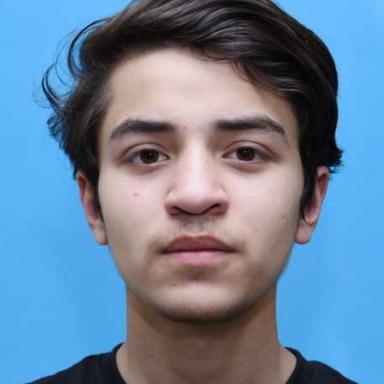 Ali A. at Softaims Ali A. - Software Engineer - Full-Stack, React, Node.js and MongoDB