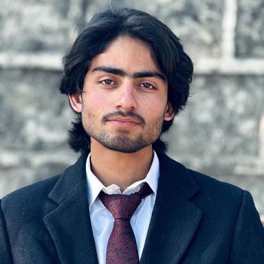 Ali A. at Softaims Ali A. - Software Engineer - Frontend, Web and Mobile Platforms