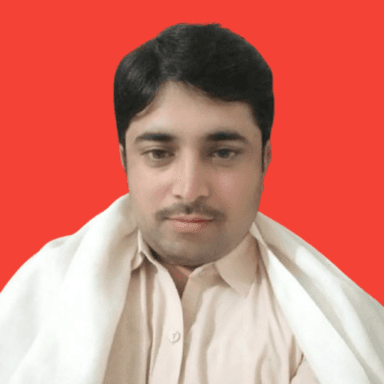 Amjid A. at Softaims Amjid A. - Lead Full-Stack Engineer - Node.js, Vue.js and API Integration