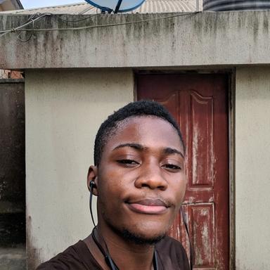 Anyanwu C. at Softaims Anyanwu C. - Senior Frontend Engineer - React, TypeScript and Web Design