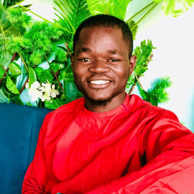 Bello I. at Softaims Bello I. - Software Engineer - Full-Stack, Laravel, React and Python Platforms