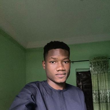 Chima C. at Softaims Chima C. - Software Engineer - Web, Backend and AI Platforms