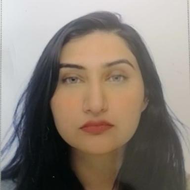 Deebaj I. at Softaims Deebaj I. - Software Engineer - Mobile, Web and General Development