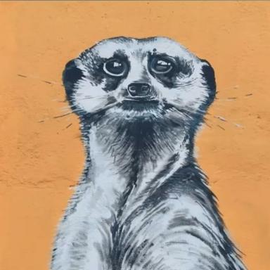 Denis K. at Softaims Denis K. - Junior Software Engineer - Blockchain, Crypto and General Development