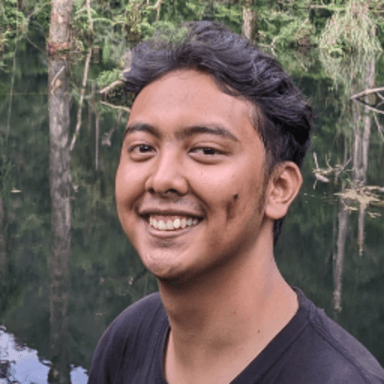 Dikanio L. at Softaims Dikanio L. - Software Engineer - Backend, Node.js and API Integration