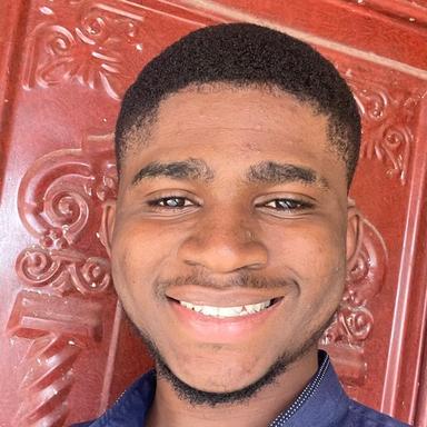 Fasan O. at Softaims Fasan O. - Software Engineer - Frontend, Web and WordPress Platforms