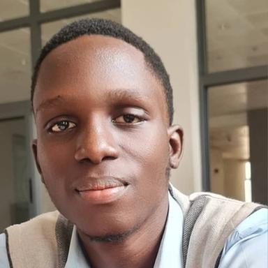 Festus O. at Softaims Festus O. - Software Engineer - Web, Backend and General Development