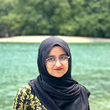 Hadeeqa I. at Softaims Hadeeqa I. - Junior Mobile Engineer - React Native, Node.js and AI Platforms