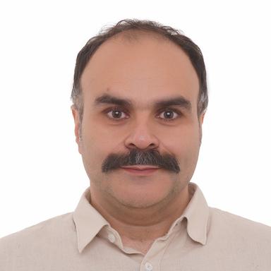 Hamed P. at Softaims Hamed P. - Junior Full-Stack Engineer - Node.js, React and Microservices