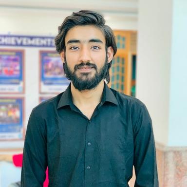 Hitesh V. at Softaims Hitesh V. - Software Engineer - Backend, AI and General Development