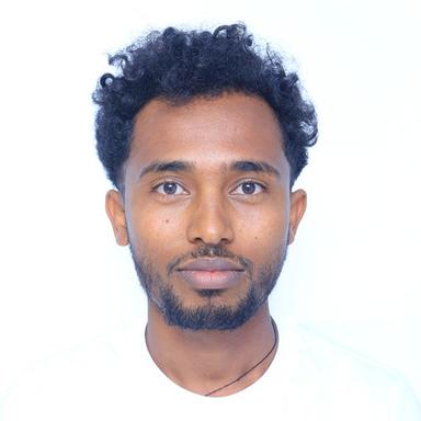 Leliso A. at Softaims Leliso A. - Senior Full-Stack Engineer - Node, React and Modern Frameworks