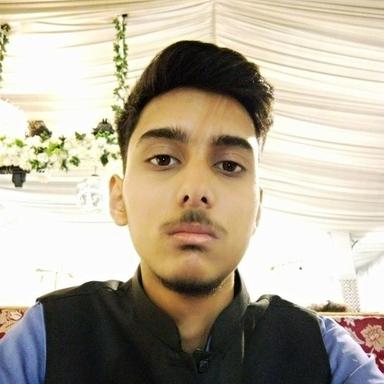 Malik F. at Softaims Malik F. - Software Engineer - Backend, AI and Web Development