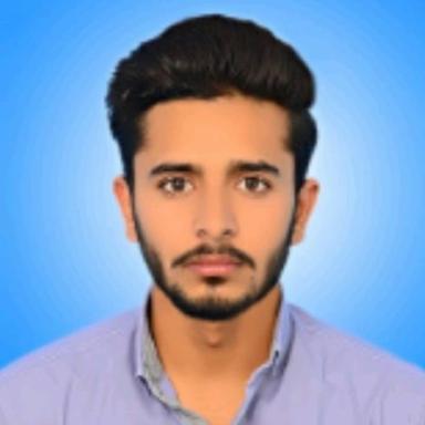 Muzammil D. at Softaims Muzammil D. - Software Engineer - Frontend, Backend and Web Applications