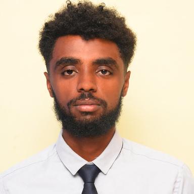 Natenael H. at Softaims Natenael H. - Software Engineer - Full-Stack, Node and Modern Frameworks