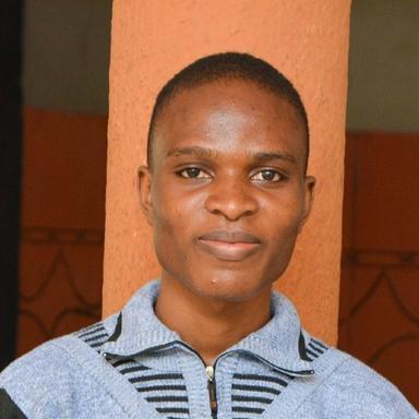 Success O. at Softaims Success O. - Junior Software Engineer - Web, Website Builders and General Development