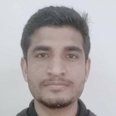 Sumit K. at Softaims Sumit K. - Junior Software Engineer - Web, Ecommerce and General Development