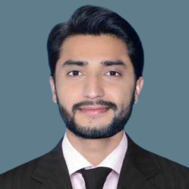 Syed Muhammad S. at Softaims Syed Muhammad S. - Software Engineer - QA Automation, CI/CD and Web Testing