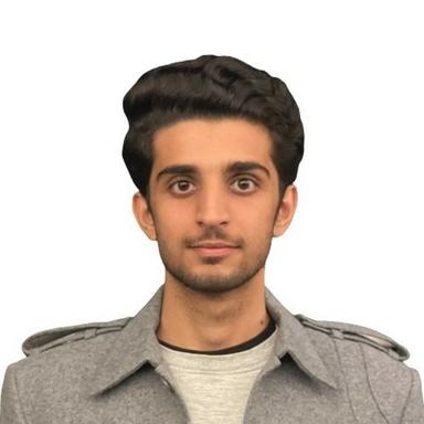 Talha I. at Softaims Talha I. - Software Engineer - AI, Cloud and Data Science Platforms