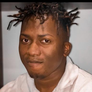 Tatenda Christopher C. at Softaims Tatenda Christopher C. - Junior Full-Stack Engineer - Web3, React and SaaS Platforms