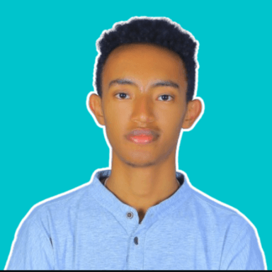 Tsegaye T. at Softaims Tsegaye T. - Software Engineer - Frontend, Backend and Mobile Platforms