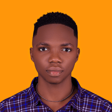 Ufuoma O. at Softaims Ufuoma O. - Software Engineer - AI, Python and Fullstack