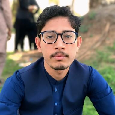 Zeeshan M. at Softaims Zeeshan M. - Software Engineer - Full-Stack, React, Node and MERN Stack