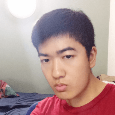 Ziyang L. at Softaims Ziyang L. - Junior Software Engineer - Backend, Big Data and Machine Learning Platforms