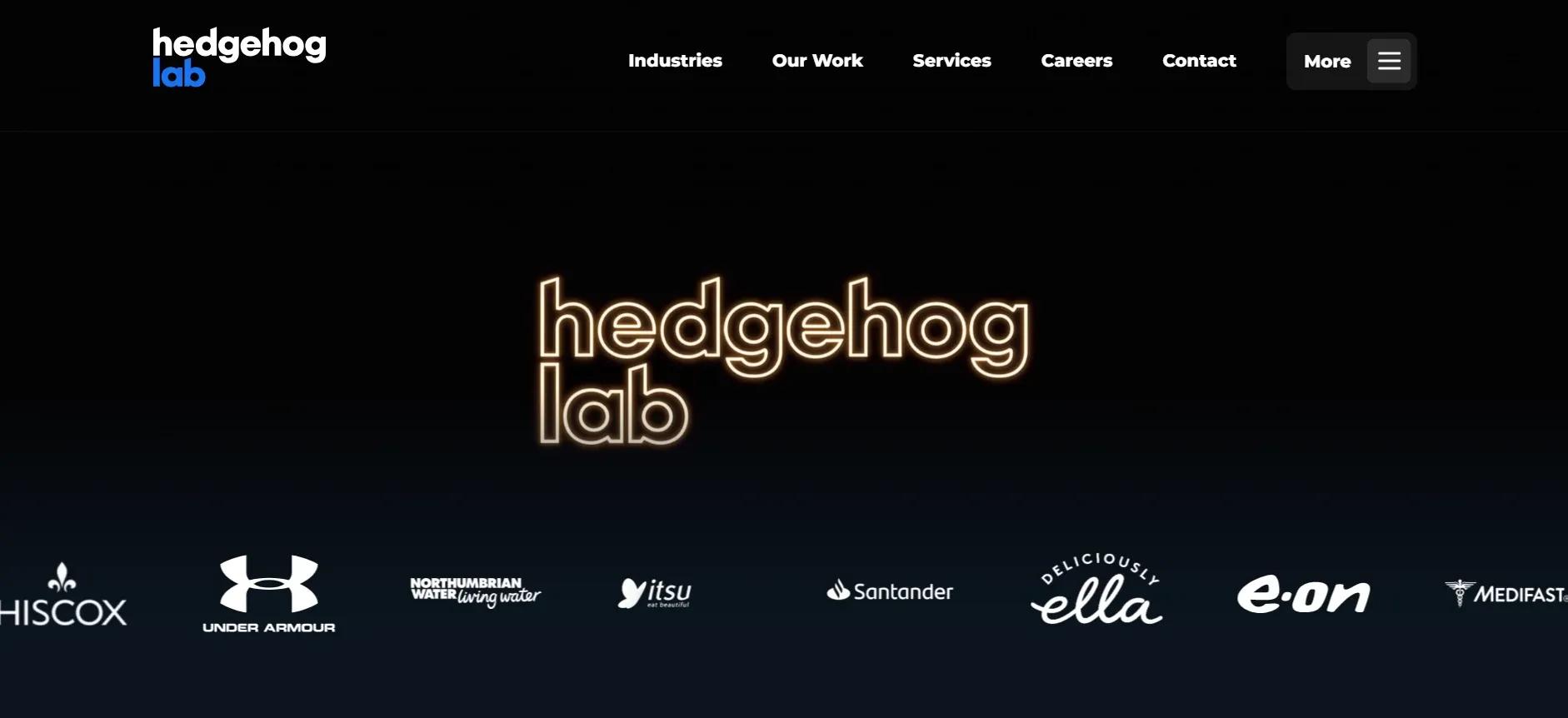 hedgehog lab.webp